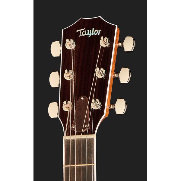 Taylor Legacy Edition 810e