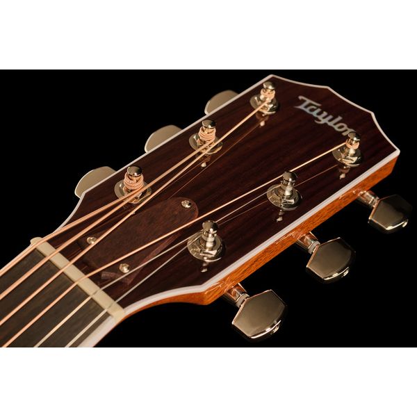 Taylor Legacy Edition 810e