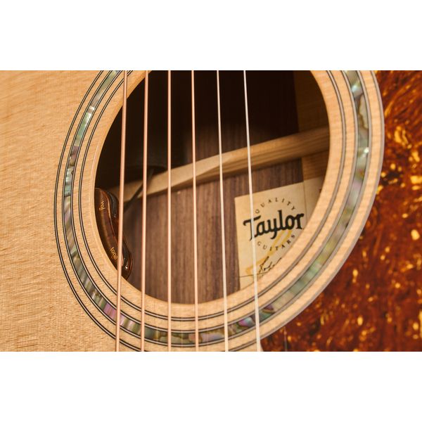 Taylor Legacy Edition 810e