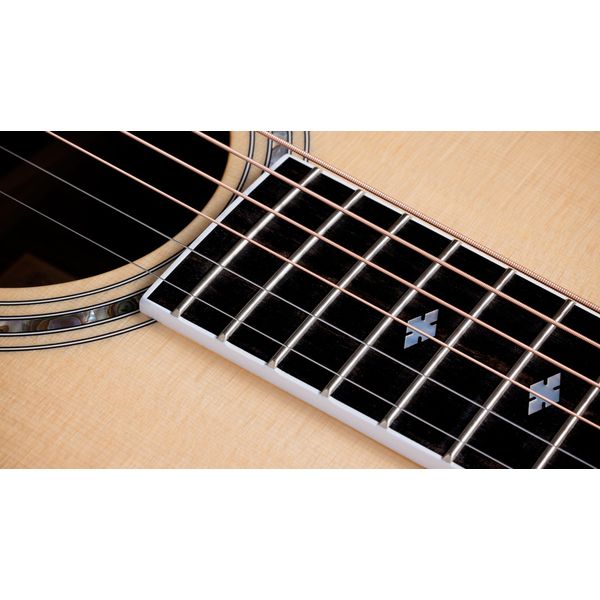 Taylor Legacy Edition 815e