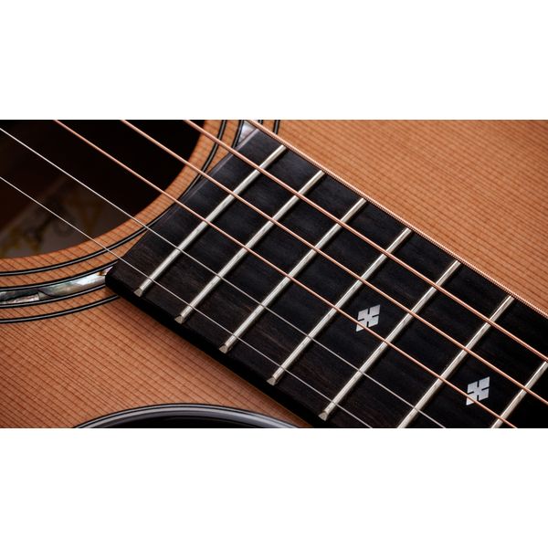 Taylor Legacy Edition 514ce