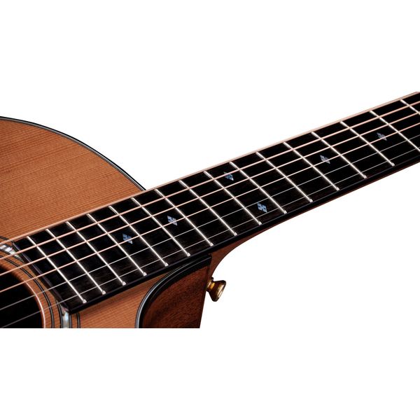 Taylor Legacy Edition 514ce