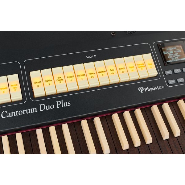 Viscount Cantorum Duo Plus - W