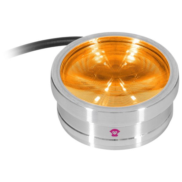 Ape Labs ApeCoin V2 IP Set of 2