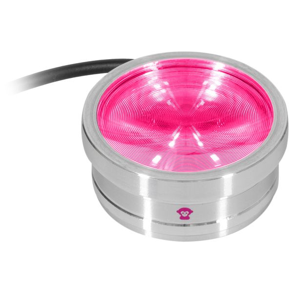 Ape Labs ApeCoin V2 IP Set of 2