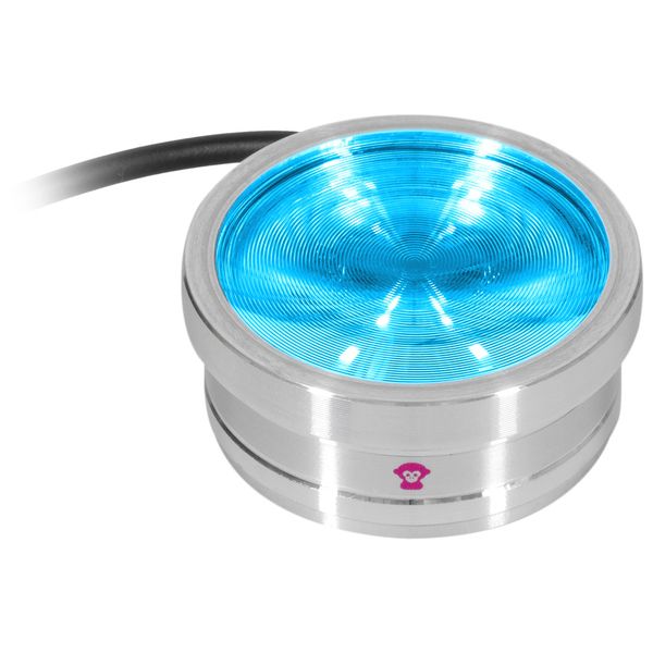 Ape Labs ApeCoin V2 IP Set of 2