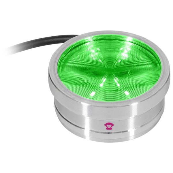 Ape Labs ApeCoin V2 IP Set of 2