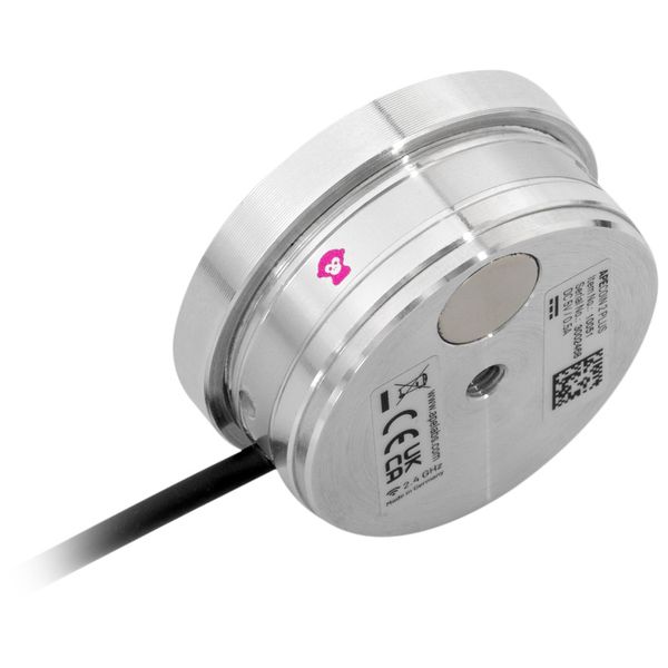 Ape Labs ApeCoin V2 IP Set of 2