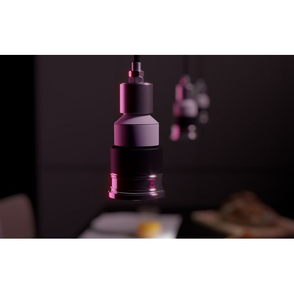 Ape Labs ApeCoin V2 IP Set of 2