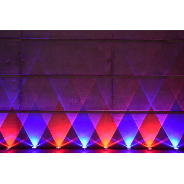 Ape Labs ApeCoin V2 IP Set of 2