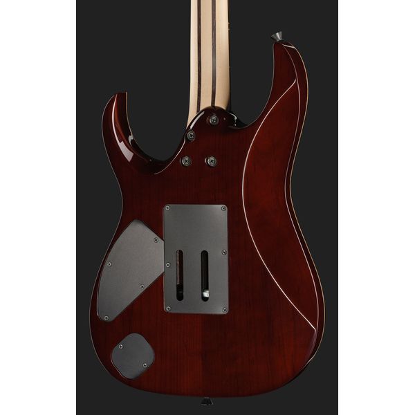 Ibanez j.custom Axe Design RG8870 BSR