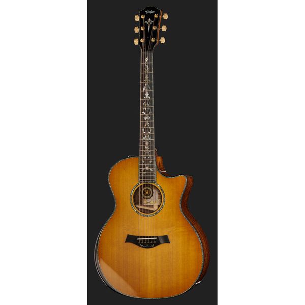 Taylor PS14ce & Circa 74 Amp 50th