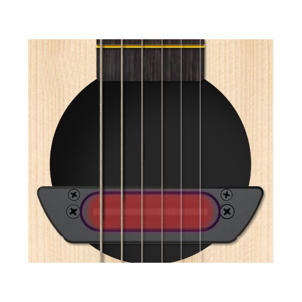 Bartolini Acoustic Soundhole Pickup