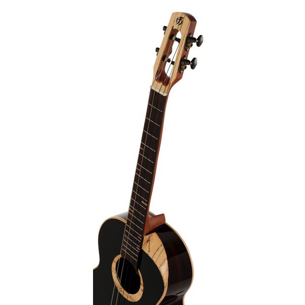Flight 4SB Sammy Turton Baritone