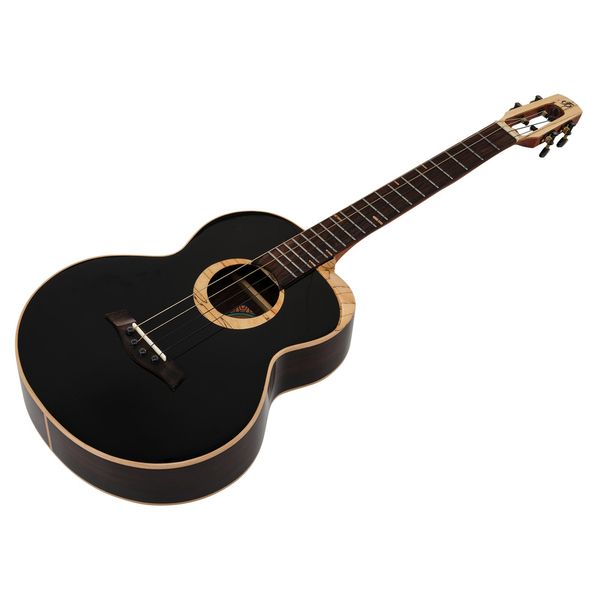 Flight 4SB Sammy Turton Baritone