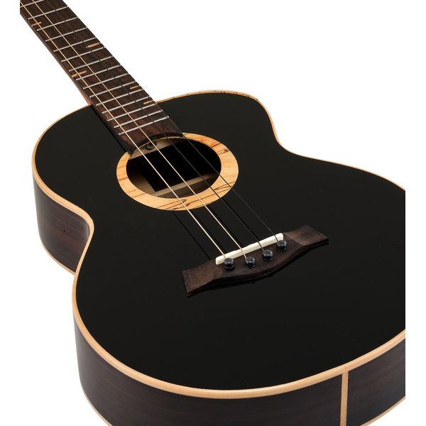Flight 4SB Sammy Turton Baritone