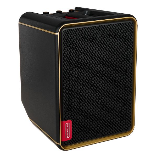 Positive Grid Spark Edge BK Bundle w/Battery