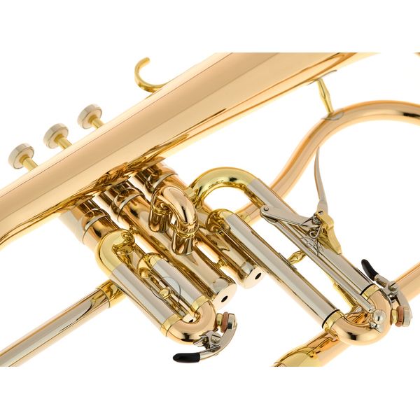 Schagerl "AGLAEA" Bb- Flugelhorn L