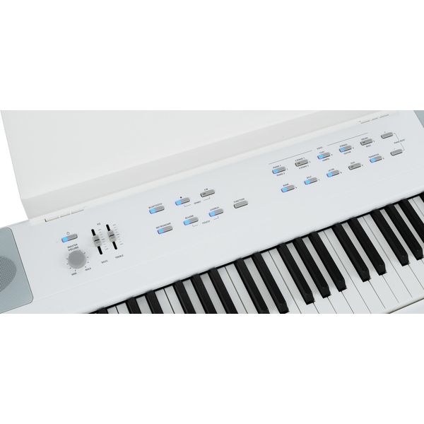 Kurzweil KaE1-WH