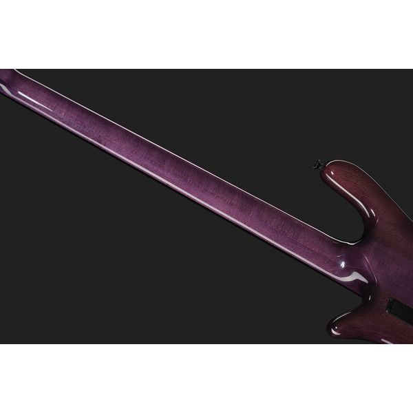 Spector Euro 5 CST Nat Violet Burst