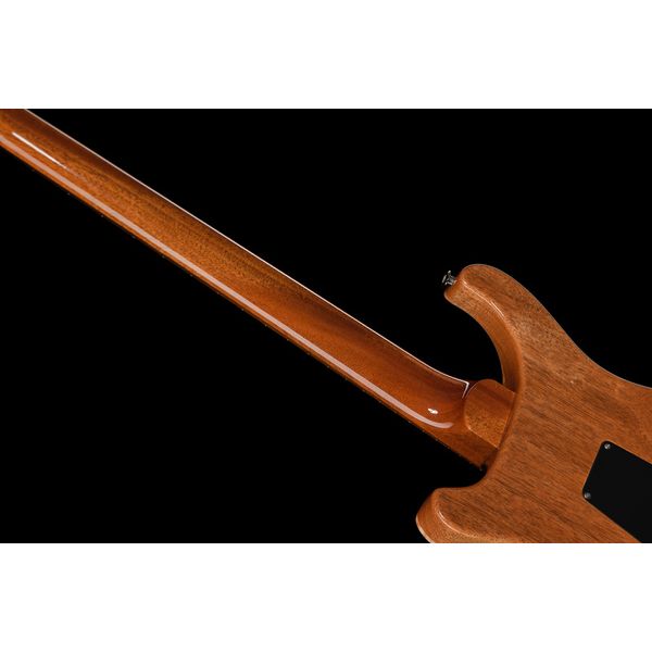 PRS 40th Anniversary Custom 24 TE