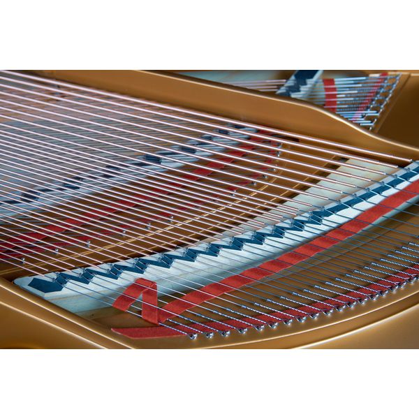 Steinway & Sons A-195 (A3)