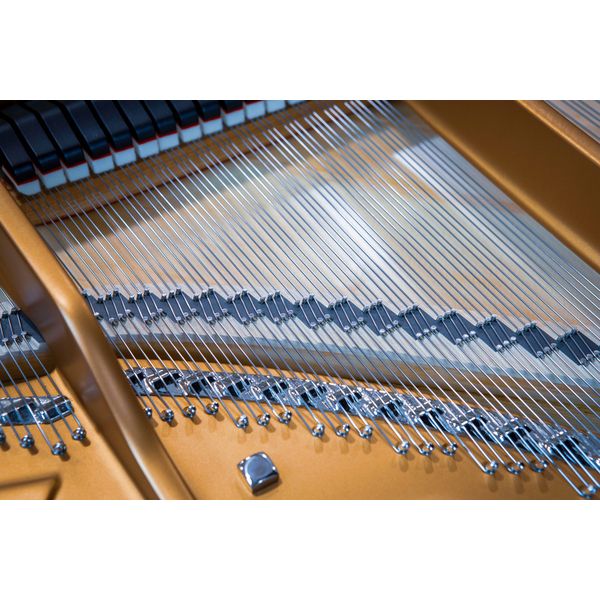 Steinway & Sons A-195 (A3)