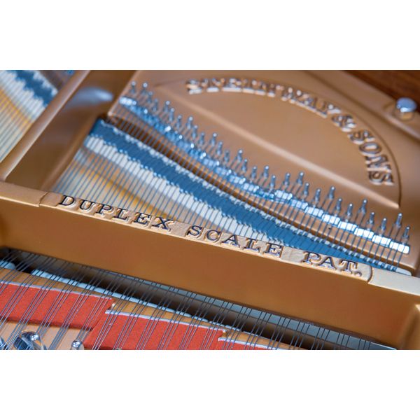 Steinway & Sons A-195 (A3)