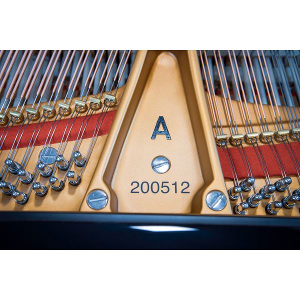 Steinway & Sons A-195 (A3)