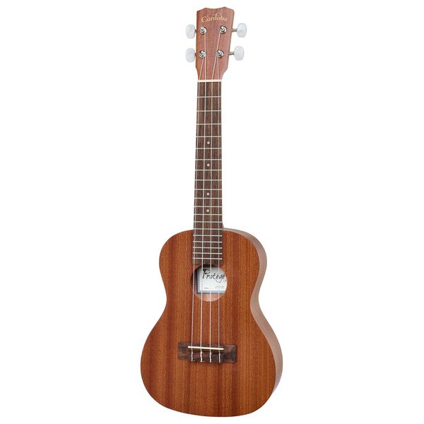 Cordoba Up 100 Ukulele Pack