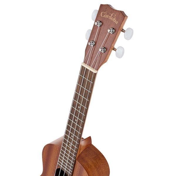 Cordoba Up 100 Ukulele Pack