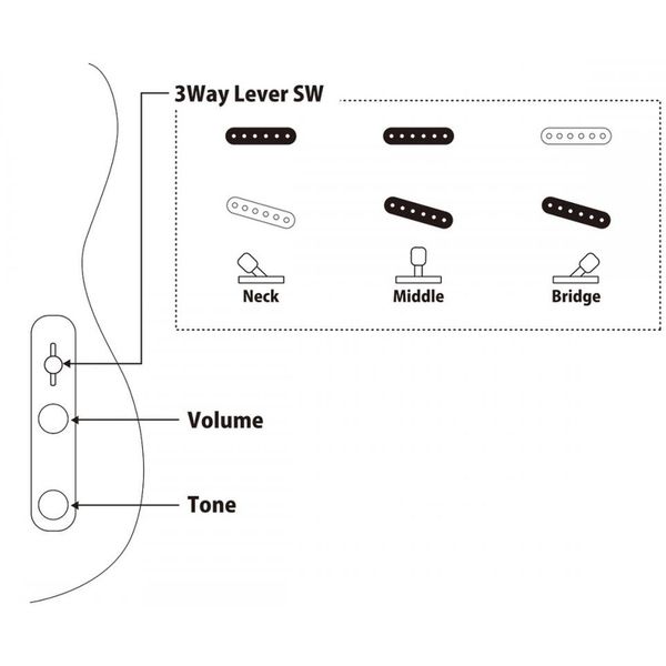 FGN Neo Classic TE100 SS OWB