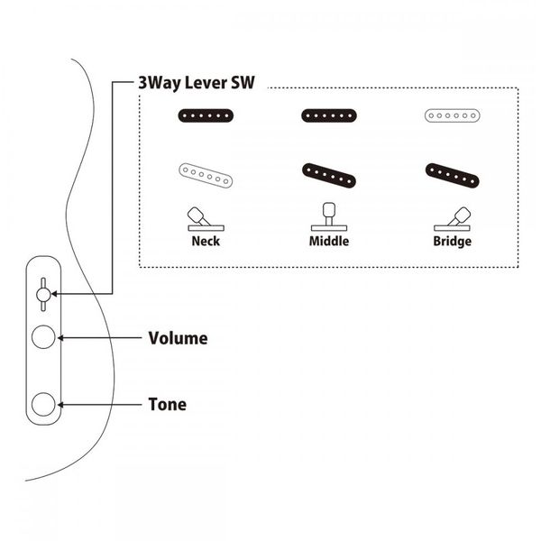 FGN Neo Classic TE100 SH NT