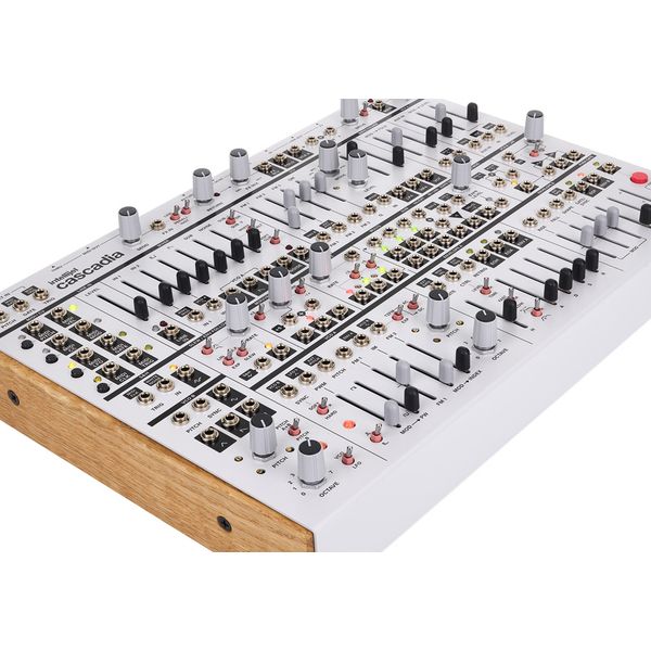 Intellijel Designs Cascadia White