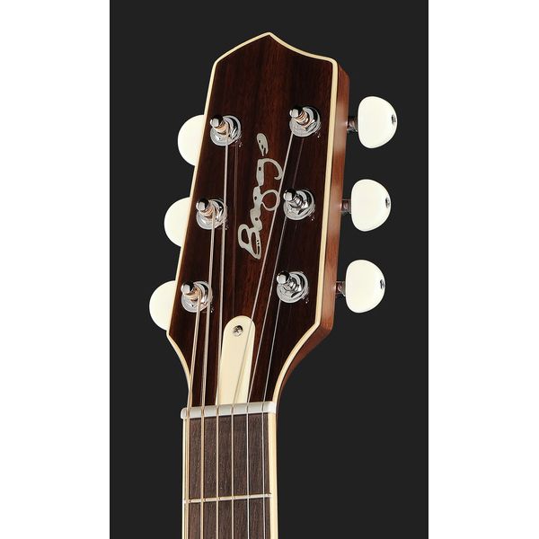 L.R.Baggs AEG 1 E- Acoustic Sunburst