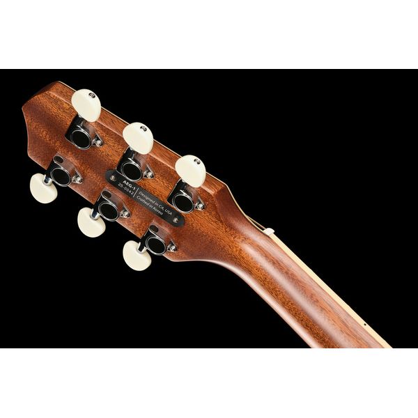 L.R.Baggs AEG 1 E- Acoustic Sunburst