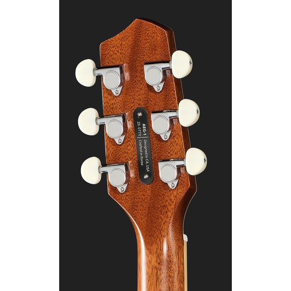 L.R.Baggs AEG 1 E-Acoustic Torrefied