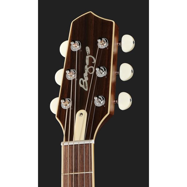 L.R.Baggs AEG 1 E-Acoustic Torrefied