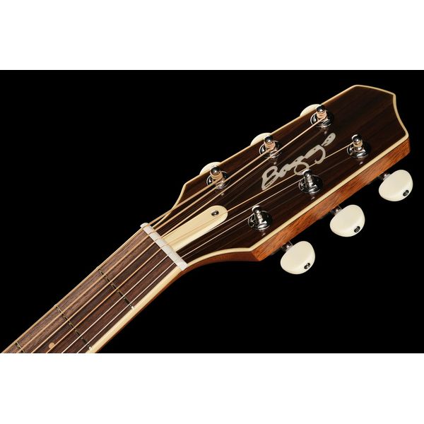 L.R.Baggs AEG 1 E-Acoustic Torrefied