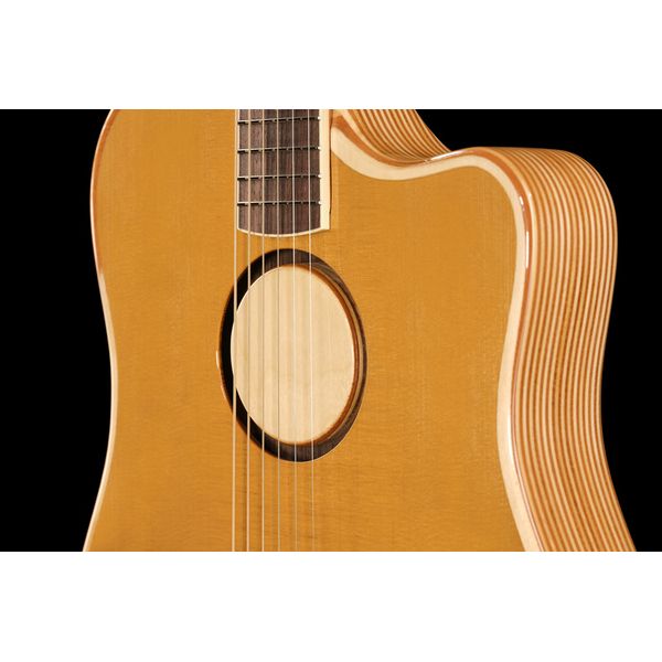 L.R.Baggs AEG 1 E-Acoustic Torrefied