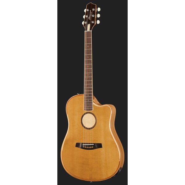 L.R.Baggs AEG 1 E-Acoustic Torrefied