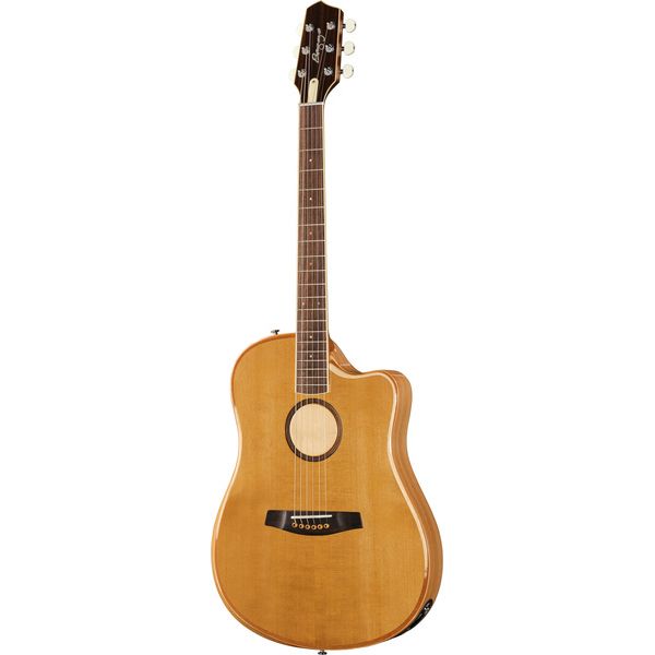 L.R.Baggs AEG 1 E-Acoustic Torrefied