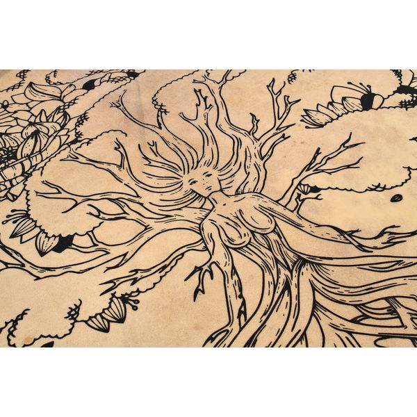 Terre Shaman Drum Lady of Wood 60cm