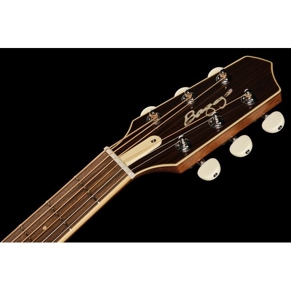 L.R.Baggs AEG 1 E- Acoustic Natural