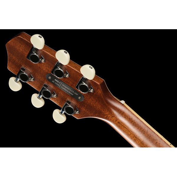 L.R.Baggs AEG 1 E- Acoustic Natural