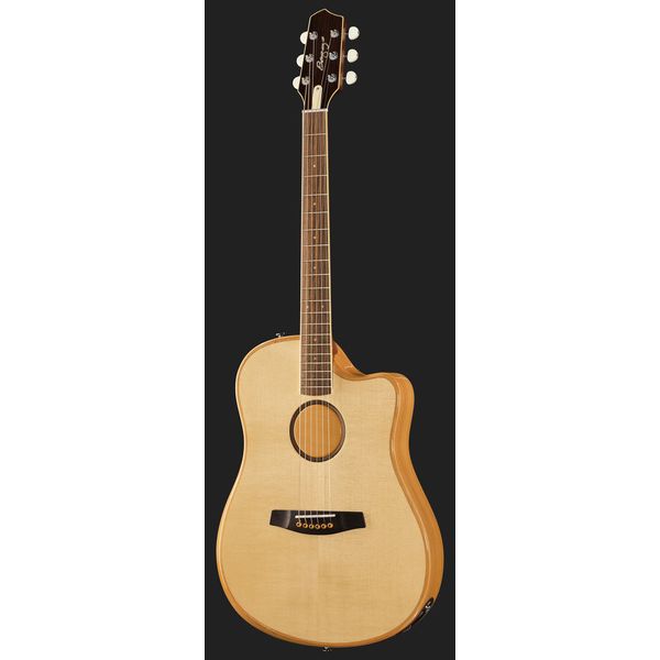 L.R.Baggs AEG 1 E- Acoustic Natural