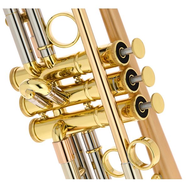 Taylor Trumpets Piranha Bb-Trumpet