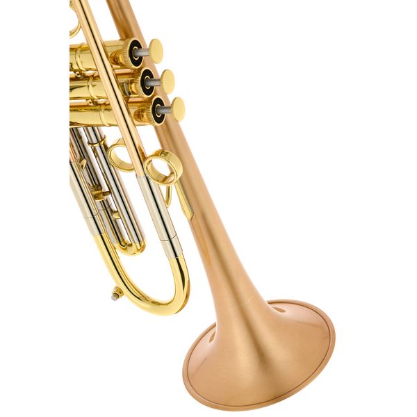 Taylor Trumpets Piranha Bb-Trumpet