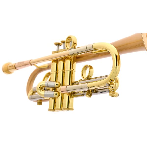 Taylor Trumpets Piranha Bb-Trumpet