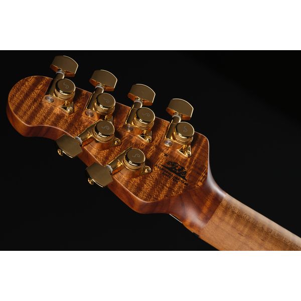 Music Man Valentine HH Ivory White